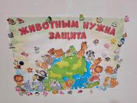 День защиты животных